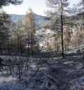 El incendio forestal en Castellón afronta una jornada de alto riesgo debido a los fuertes vientos