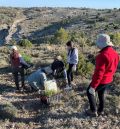 Dos Torres de Mercader planta más de 300 árboles en la senda de las trincheras