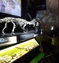 El Museo Paleontológico de Dinópolis reluce con la nueva iluminación de sus salas expositivas