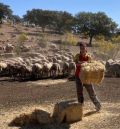 La viruela ovina impide el regreso a Teruel de 8.000 ovejas desde tierras de Castilla-La Mancha