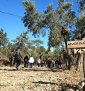 La Diputación de Teruel pondrá en marcha un Centro de Innovación Territorial con apadrinaunolivo