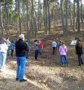 Cedrillas muestra la gestión forestal en  un sendero didáctico jalonado de arte