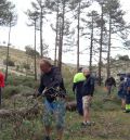 Cuevas Labradas planta el pino de San Juan, una tradición que no se celebraba desde el 2012