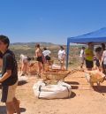 El parque arqueológico de El Cabo acoge un nuevo campo de voluntariado joven