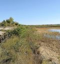 Jornada para aprender a catalogar las mariposas de la Laguna del Cañizar