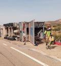 Los bomberos del parque de Alcañiz excarcelan a unos 200 cerdos atrapados tras el accidente de un camión