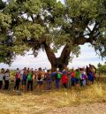 Una andada destaca la relevancia de la Carrasca de los Tocones de Peracense, candidata a Árbol del Año