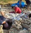 Nueva campaña de excavación en el yacimiento paleontológico de Alacón