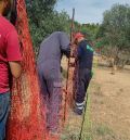 Las ayudas públicas por la presencia del lobo llegan a 41 ganaderos del Bajo Aragón