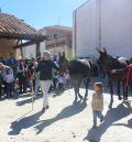 La Feria de Orihuela recuerda y valora la labor de los mulos como antigua herramienta de trabajo en el campo y la casa