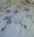Un nuevo estudio hecho en Galve revela cómo el ambiente influyó en el caminar de los dinosaurios hace unos 140 millones de años