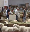 La Feria Agrícola, Ganadera e Industrial de Cedrillas espera la visita de unas 10.000 personas durante el fin de semana