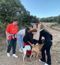 Los voluntarios del programa Inquietos realizan su primera salida con los perros