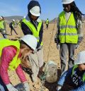 Un grupo de estudiantes norteamericanos planta más de 200 olivos en la mina Beatriz de Oliete