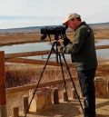 La escasez de agua en la Laguna del Cañizar merma el censo de aves acuáticas invernantes