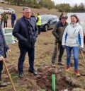 Gestión Forestal restaura el monte de Castelfrío con la plantación de más de 58.000 árboles