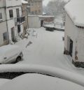 El puerto de Orihuela del Tremedal, intransitable por la caída de pinos en la calzada a causa de la nieve