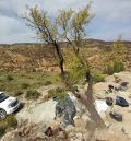 Riodeva acogerá las excavaciones del curso de paleontología de la Universidad de Verano