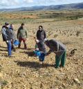 El CITA toma muestras del suelo de los viñedos en San Martín del Río