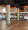 La exposición de los BIC paleontológicos llega a Linares de Mora