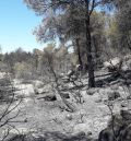 Controlado el incendio forestal declarado este martes por la tarde en Arens de Lledó en el límite con Tarragona