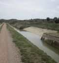 El Canal Calanda-Alcañiz y el alimentador de La Estanca, unas trampas mortales para la población de corzos