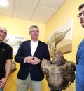 Nuevos hallazgos de los expertos de Dinópolis demuestran la locomoción cuadrúpeda del Iguanodon