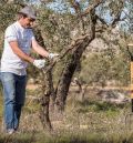 La financiación participativa se erige como una gran herramienta de desarrollo rural