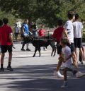 Termina TradicionaTE con un balance positivo en cuanto  a participación