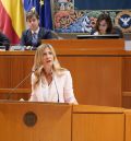 La DGA tendrá antes de final de año el plan energético y ordenará el sector con una ley