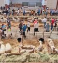 Cedrillas aúna tradición y vanguardia para favorecer la rentabilidad del sector agrario