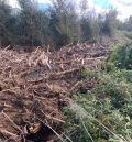 Hallan un tapón de más de 250 metros  en el río en el término municipal de Báguena