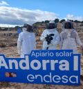 Endesa preserva las abejas y la biodiversidad con sus apiarios solares