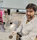 Localizan en Alcañiz mosquitos transmisores del virus del Nilo, pero no están contagiados