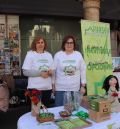 Afifasen salió a la calle para celebrar el Día Internacional de la Fibromialgia y la fatiga