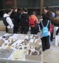 La Fundación Dinópolis celebra el Día Internacional de los Museos con charlas y visitas educativas y el acceso libre a su último libro publicado