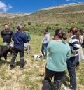 ‘Egoturismo’, autenticidad  y el abismo entre ciudad  y campo, realidades del turismo agroalimentario
