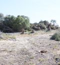 Comienza la tala de árboles  para la construcción de los accesos  al nuevo Hospital de Teruel
