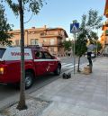 Los Bomberos de la DPT incrementan en primavera la retirada de colmenas de abejas