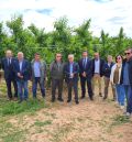 La modernización del regadío  en Calanda aporta ahorros del 40% en recurso y coste del agua