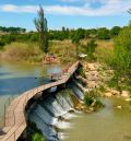 Alcañiz refuerza el desbroce en la ribera del Guadalope por vegetación
