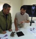 La Fundación Dinópolis da a conocer el cráneo más completo de estegosaurio de Europa