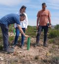 El Plan de Reforestación de Aragón avanza a buen ritmo en la provincia de Teruel