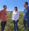 Gestión Forestal tiene en ejecución el 60% de las 2.000 hectáreas del Plan de Reforestación