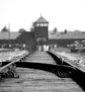 Sionismo nazi