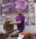 Los aperos tradicionales de este cultivo de invierno, en exposición