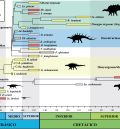 Un cladograma con las ramas evolutivas ligado a un cronograma del tiempo