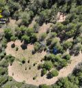 La Guardia Civil de Teruel evita la reactivación de una plantación de marihuana en Fuentes de Rubielos y detiene a dos personas