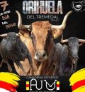 Ustarroz, protagonista de la peña taurina de Orihuela del Tremedal