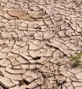 El Gobierno de Aragón confirma que recurrirá ante el Tribunal Supremo la exclusión de Teruel del paquete de ayudas por la sequía